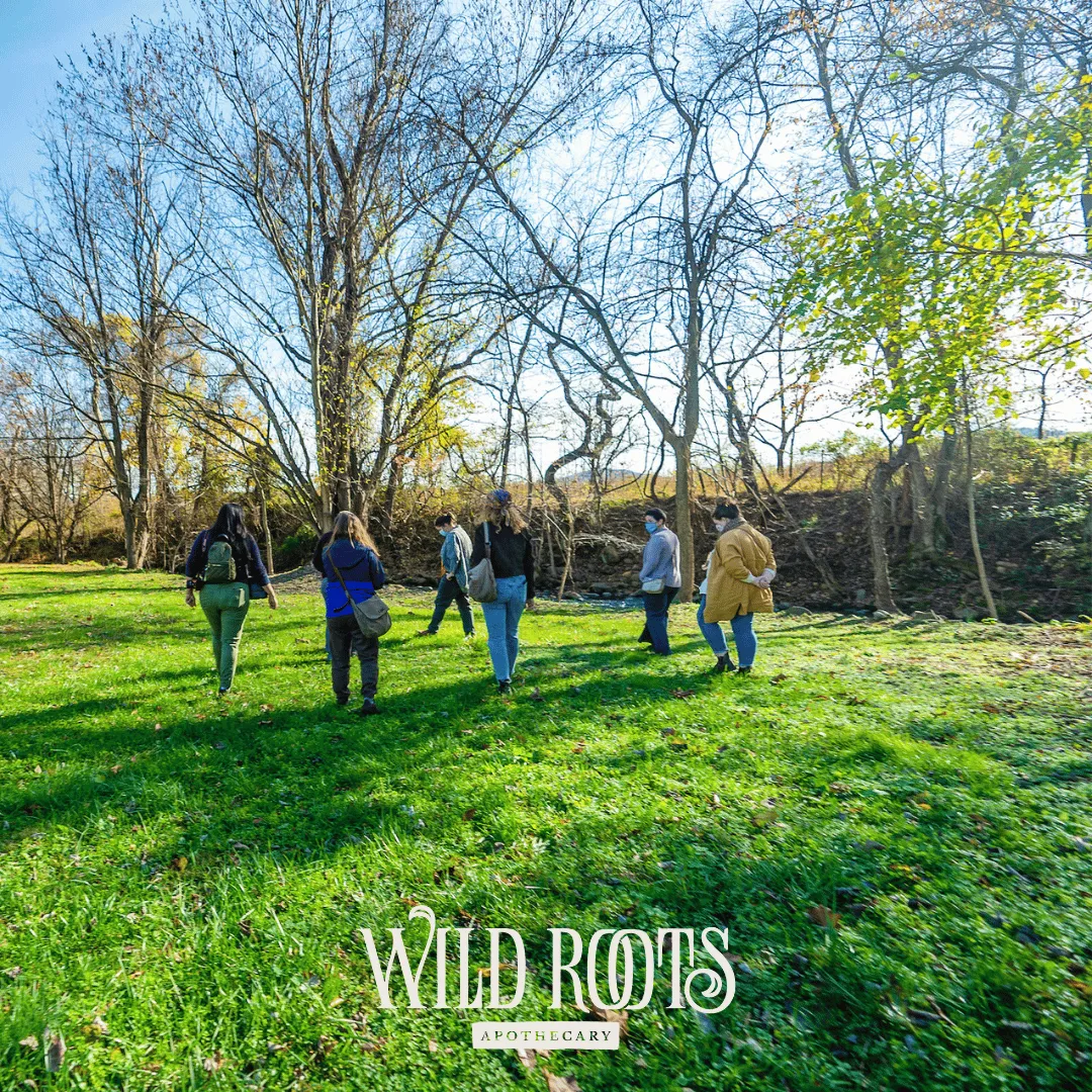 2025 Wild & Weedy: Plant ID & Nature Walk