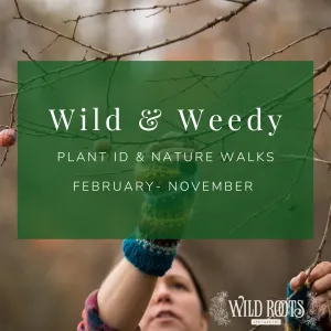 2025 Wild & Weedy: Plant ID & Nature Walk