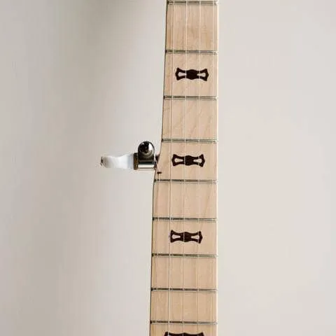 Deering Goodtime Parlor 5-String Banjo