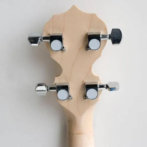 Deering Goodtime Parlor 5-String Banjo
