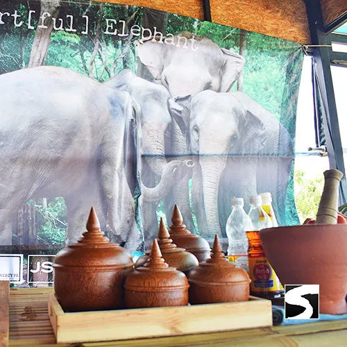 Koh Samui Elephant Haven - Animal Activity