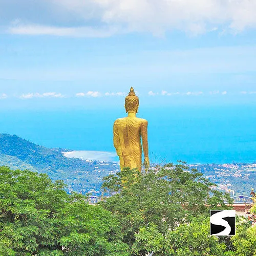 Private Island Jungle Safari Tour - Last Minute for Cruise Ship Guests Koh Samui