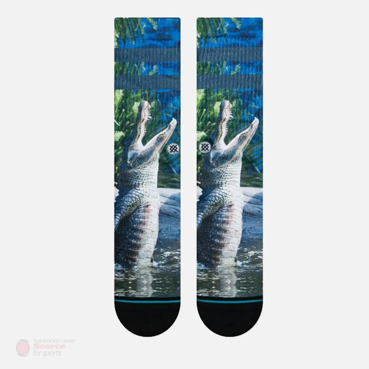 Stance Foundation Alberta Socks